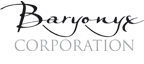 DONG Logo